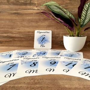 cartes étapes bébé bleues 12 premiers mois